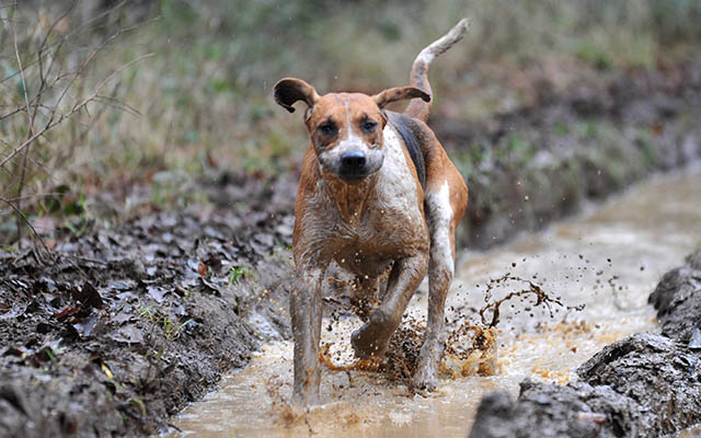 Mud? What mud?