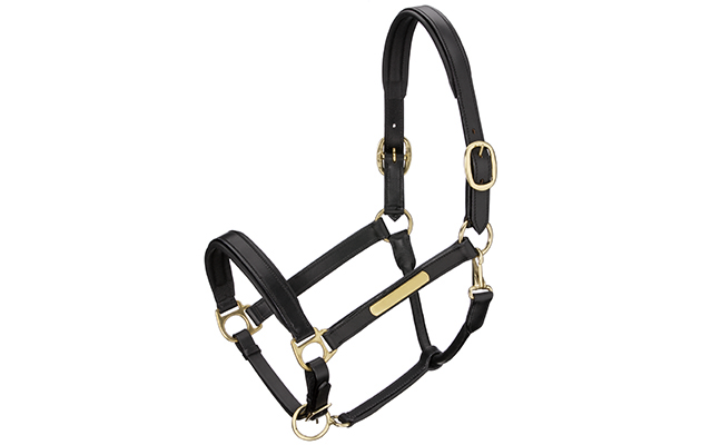Leather Headcollar Badminton. jpg