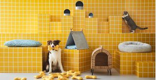 IKEA pet range shown on on yellow checked background with a dog and cat to show the full collection