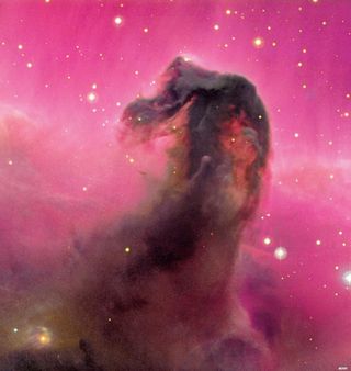 Friday, March 4, 2011: The Canada-France-Hawaii Telescope produced this stunning image of the well-known Horsehead Nebula. It is part of an enormous cloud of molecular gas and dust obscuring background light from nearby emission nebula IC 434, producing the silhouette.--Tom Chao