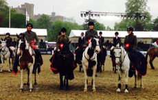 inter-hunt relay