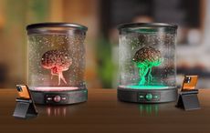 Voxi brains on table