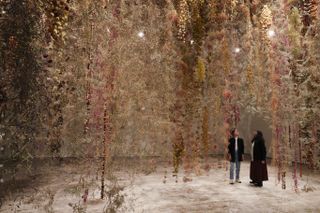 Hanging dried flowers exhibit