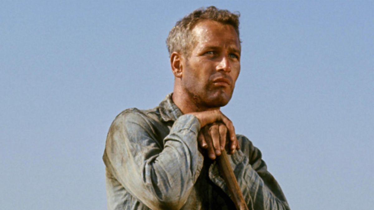 Paul Newman in Cool Hand Luke