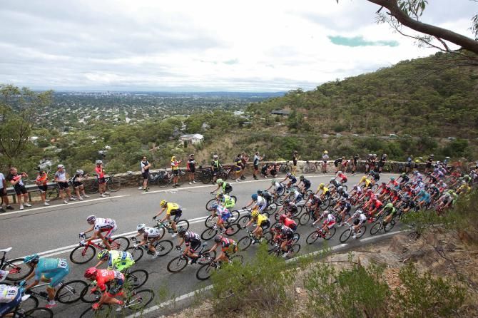 The peloton climbing up Windy Point