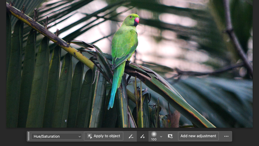 Screenshot showing the adjustment brush in Adobe Photoshop