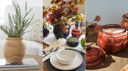 Potted plant, table display, pumpkin candle