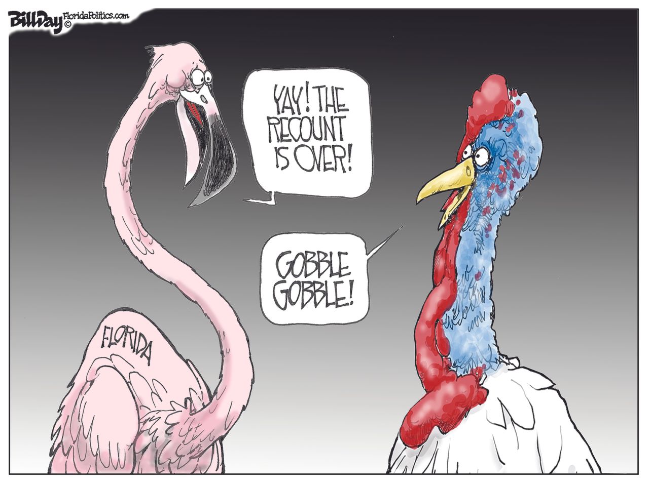 Political cartoon U.S. Florida vote recount flamingo turkey Thanksgiving