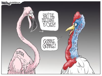 Political cartoon U.S. Florida vote recount flamingo turkey Thanksgiving