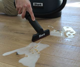 Wet cleaning with the Shark Messmaster Portable Wet/Dry Vacuum