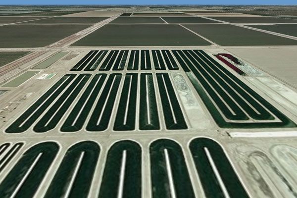 Algae ponds