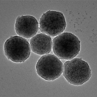 Microscopic image of engineered magnetic nano-robots that look like tiny circles.