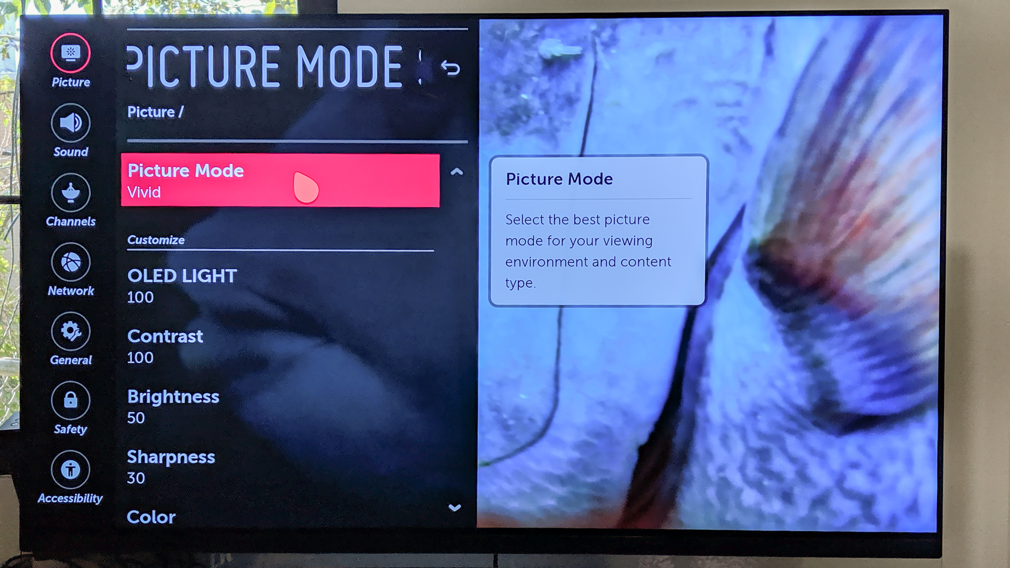 The LG OLED settings menu.