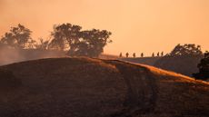 A line of silhouetted firefighters walk across a smoldering hilltop while responding to a wildfire in Pleasanton, California