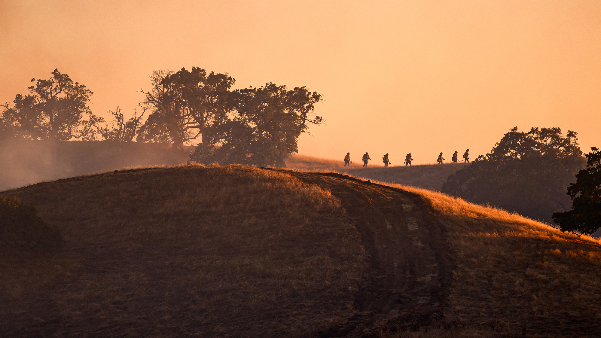 A line of silhouetted firefighters walk across a smoldering hilltop after responding to a wildfire in Pleasanton, California