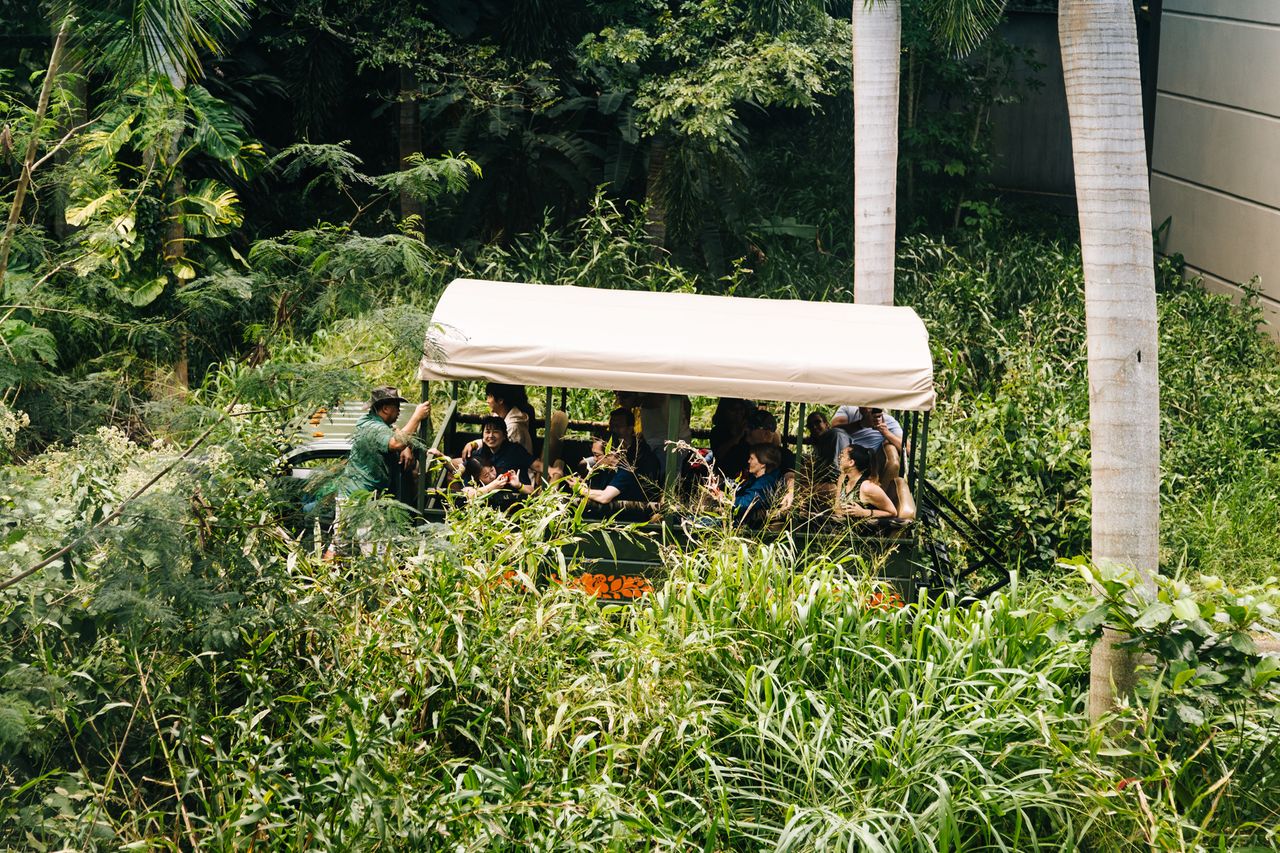 At Kualoa Ranch, in northern Oahu, you can live out your Jurassic fantasies