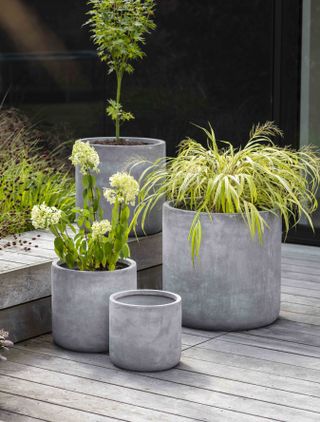 Container gardening ideas