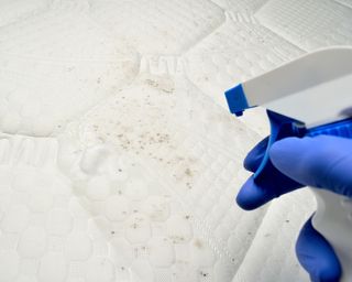 Spray spot clean mattress topper surface