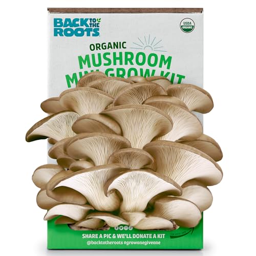 Back to the Roots Organic Mini Mushroom Grow Kit, Harvest Gourmet Oyster Mushrooms in 10 Days, Top Gardening Gift, Holiday Gift, &amp;amp; Unique Gift