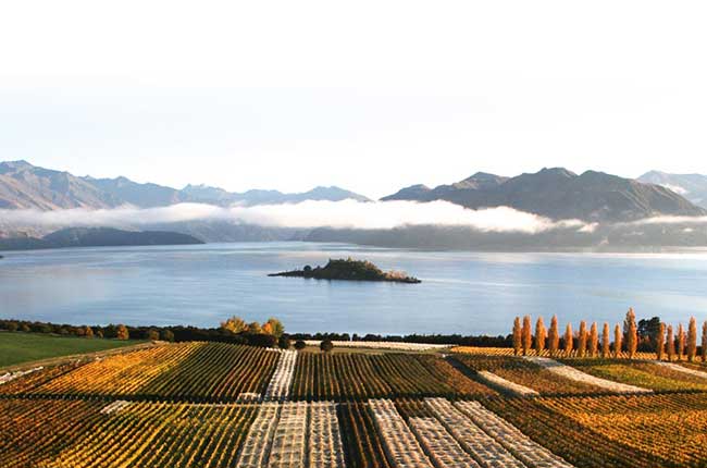 Rippon, Central Otago