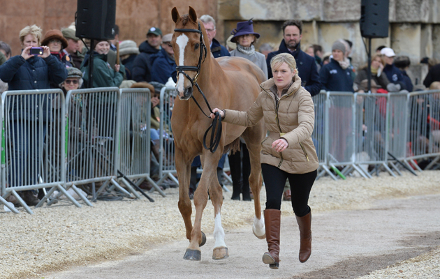 Clare Abbott (IRL) riding Euro Prince during the 1st Vet Check of The Mitsubishi Motors Badminton Horse Trials at Badminton in Gloucestershire, UK; on 6th May 2015