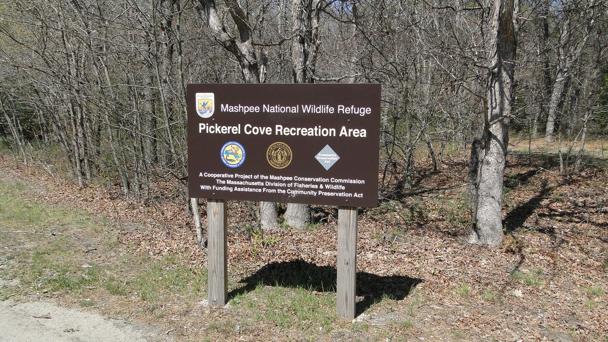 Conservation officer in Massachusetts forced to remove numerous “personal” wildlife cameras from protected area