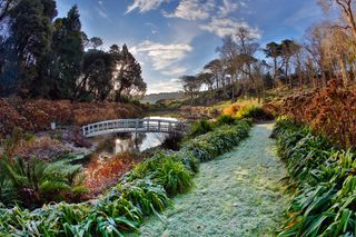 Trebah Garden, Cornwall