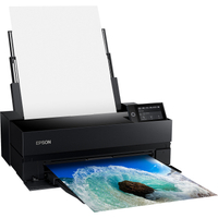 Epson SureColor P900 17" Photo Printer|was