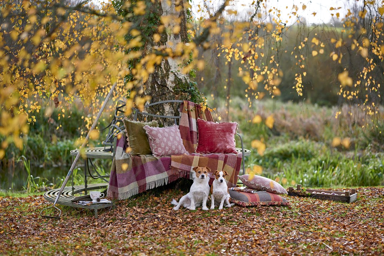 Landscaping around trees bench around tree with cushions and blankets on the bench 