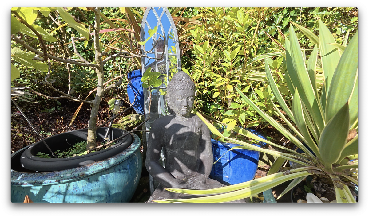A photo of a Buddha statue among plants