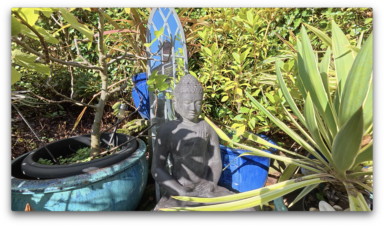 A photo of a Buddha statue among plants