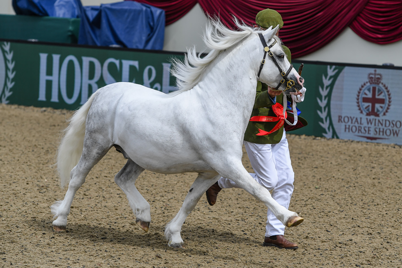 Springbourne Capricorn_RWHS_PN22_22011