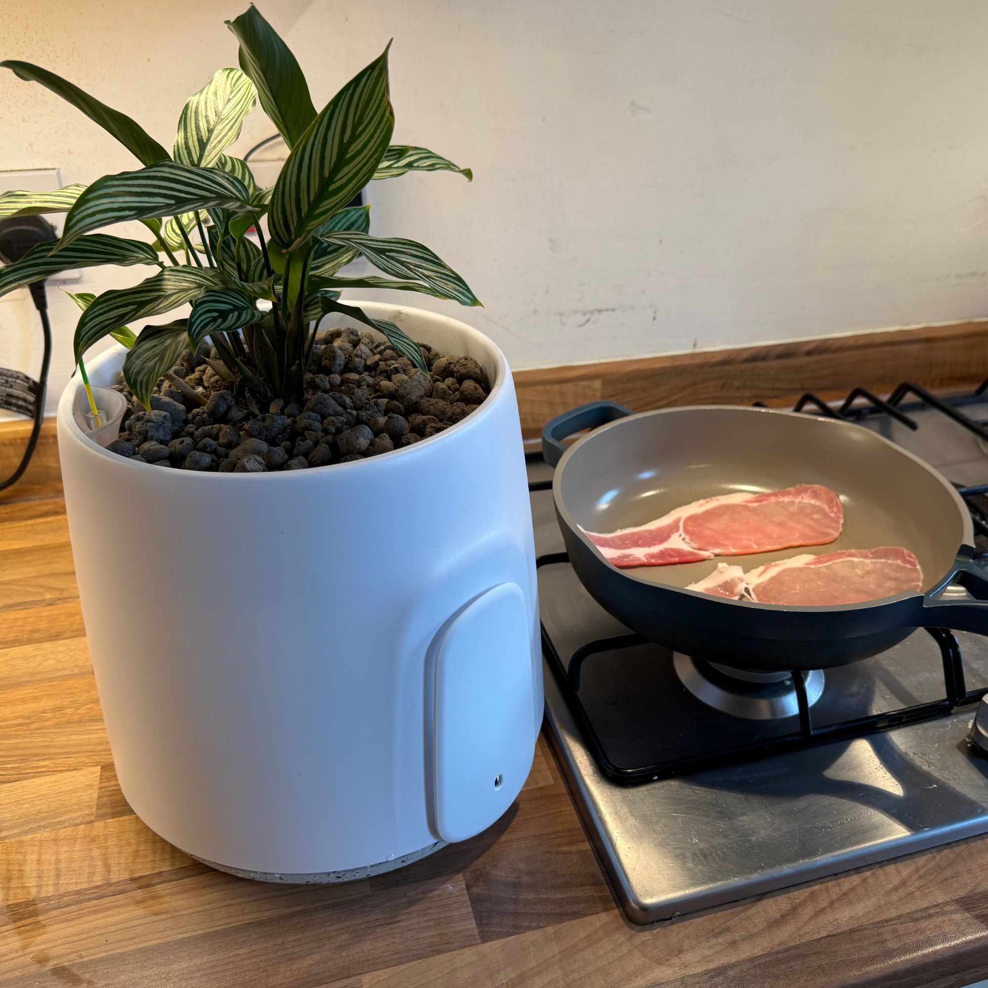 Vitesy Natede Smart air purifier on a kitchen counter next to cooking bacon