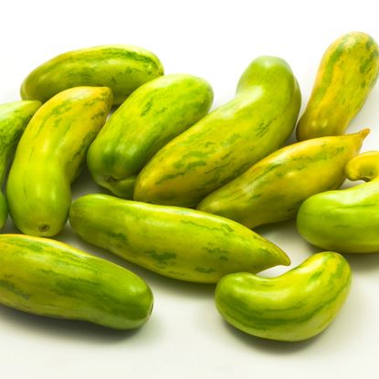 a variety of long green tomatoes on white background 