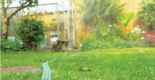 garden with sprinkler to water the lawn to support an essential summer lawn care tip
