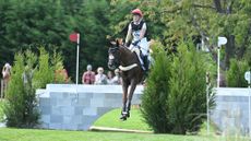Lara de Liedekerke-Meier jumps a cross-country fence, a wall, at the Paris Olympics on Origi.