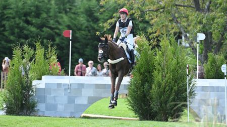 Lara de Liedekerke-Meier jumps a cross-country fence, a wall, at the Paris Olympics on Origi.