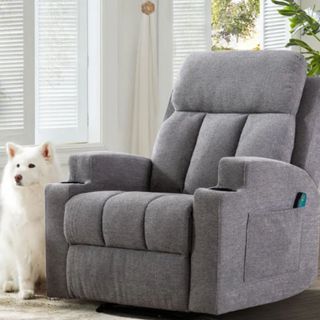 A grey armchair with a dog next to it