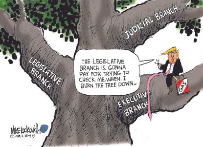 Political&nbsp;Cartoon&nbsp;U.S. Trump legislative judicial executive branch impeachment 2020 election
