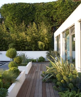 A wooden garden deck surrounded by green plants.