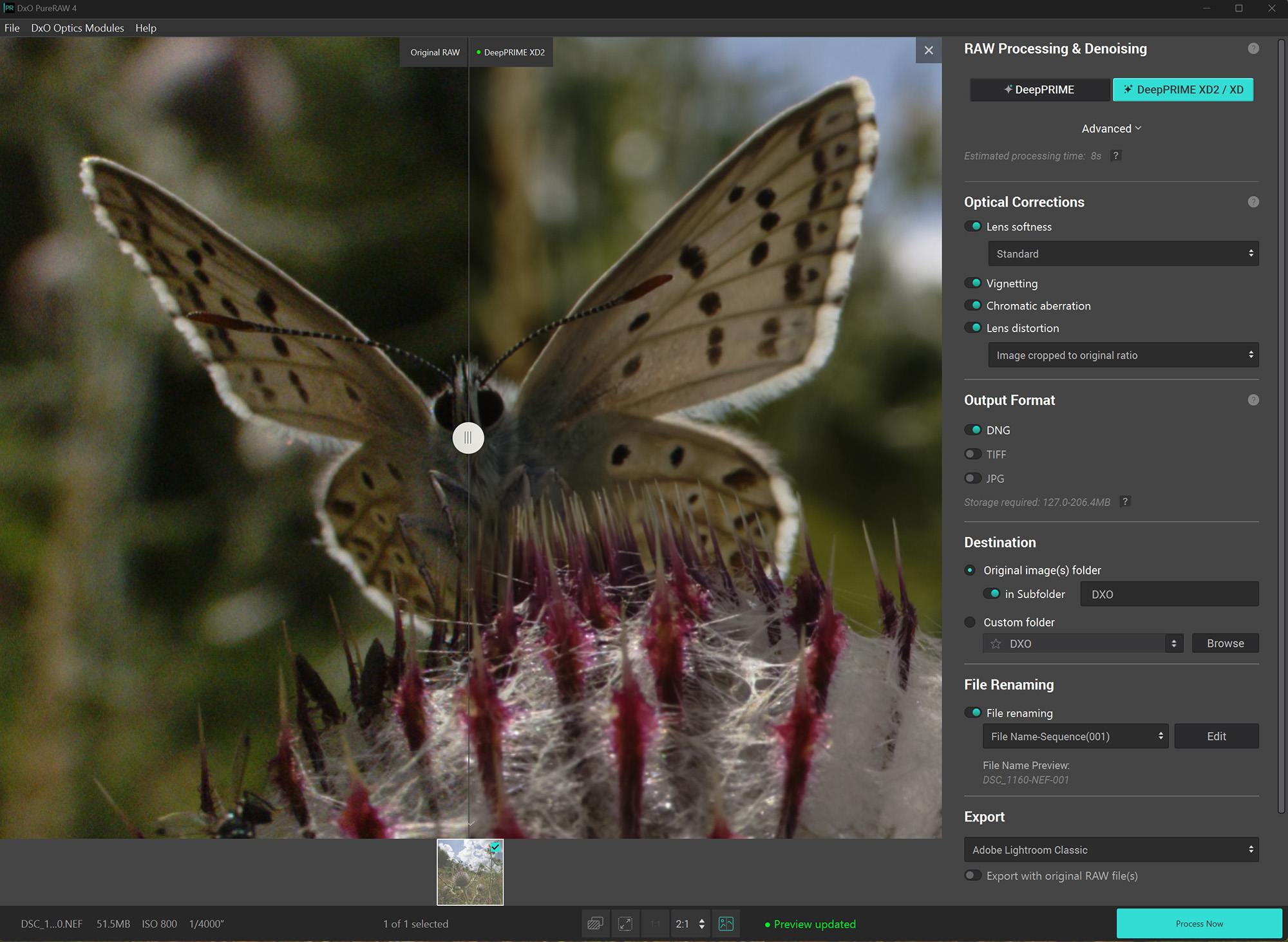 Screenshot from DxO PureRAW showing butterfly on a thistle