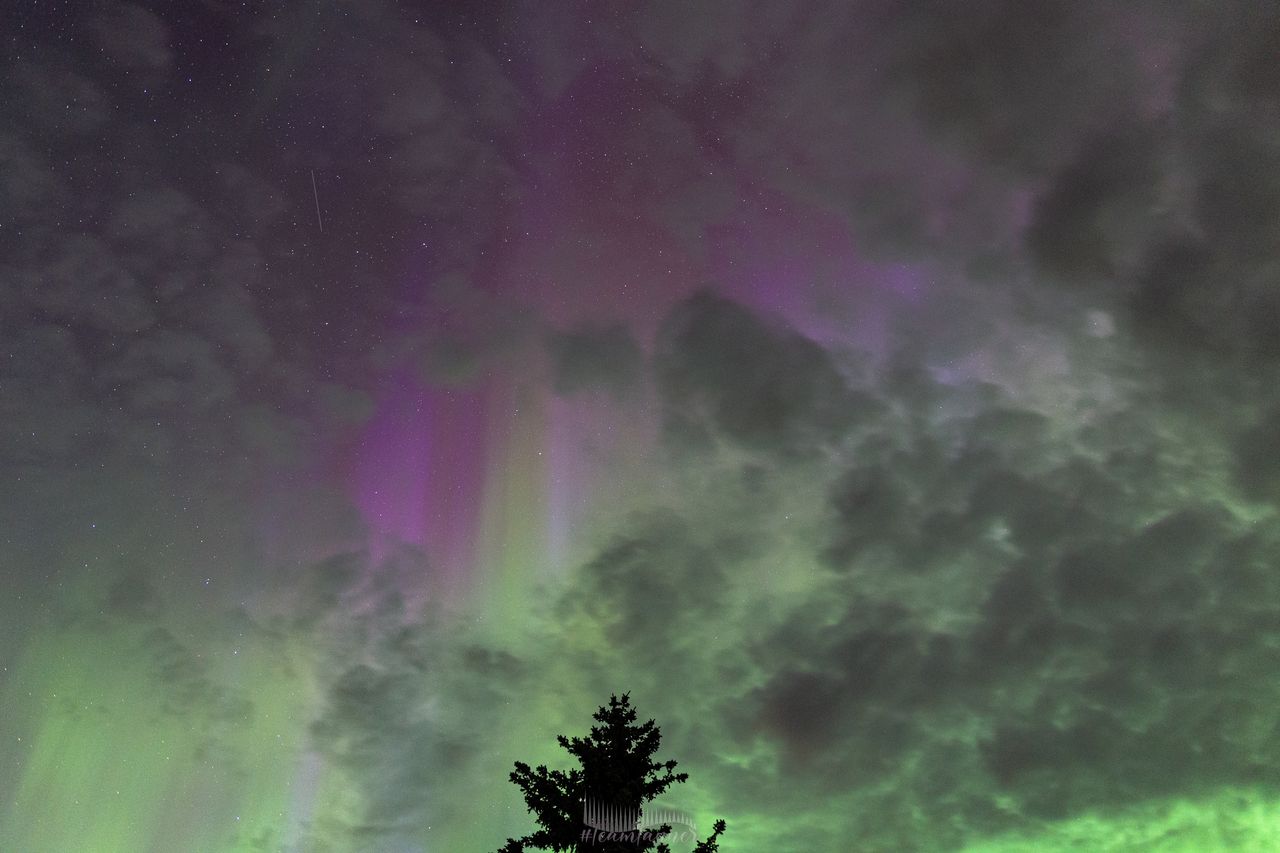 northern lights appearing as huge curtains of green light rippling along the sky.