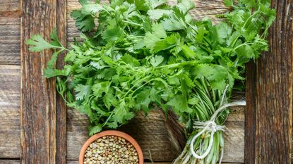 A pizza cutter works really well for cilantro or similar herbs