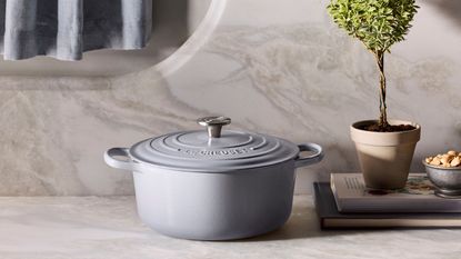 A Le Creuset Dutch oven in a soft dove grey against a marbled background beside a small potted tree 