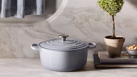A Le Creuset Dutch oven in a soft dove grey against a marbled background beside a small potted tree 