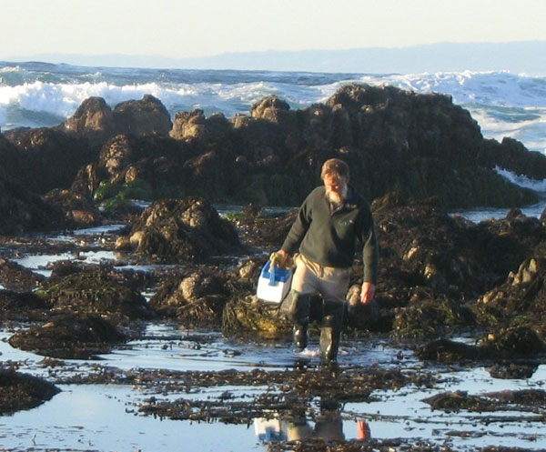 Jeff Goddard returns from sampling in the Carpinteria tide pools.