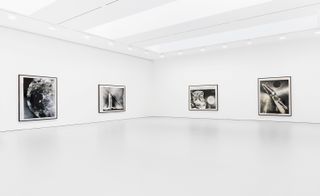 New York's David Zwirner Gallery