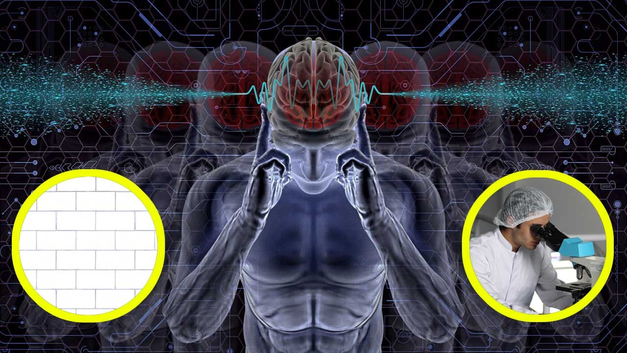 "It sounds a bit like they’re speaking underwater, but it’s our first shot at this": scientists have recreated Pink Floyd's Another Brick In The Wall using patients' brainwaves
