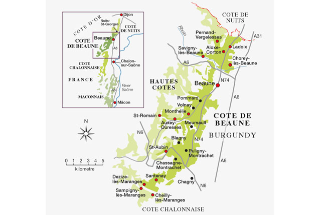 C&amp;ocirc;te de Beaune reds