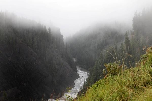Mist and rain blanketed riders on today's stage